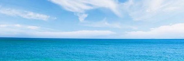 seasidejello's profile banner image