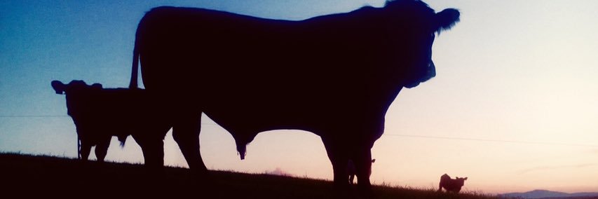 ccrew68's profile banner image