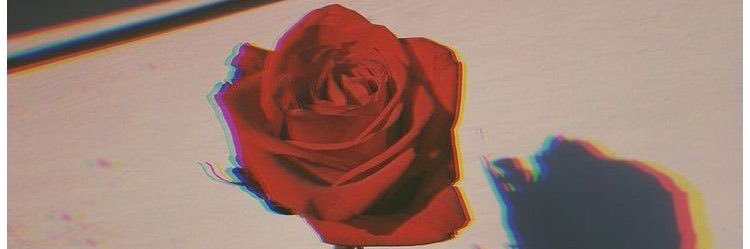 zoee_s1's profile banner image