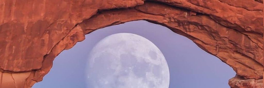 al_frei's profile banner image