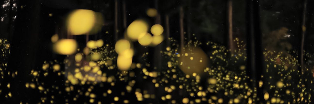 osmito's profile banner image