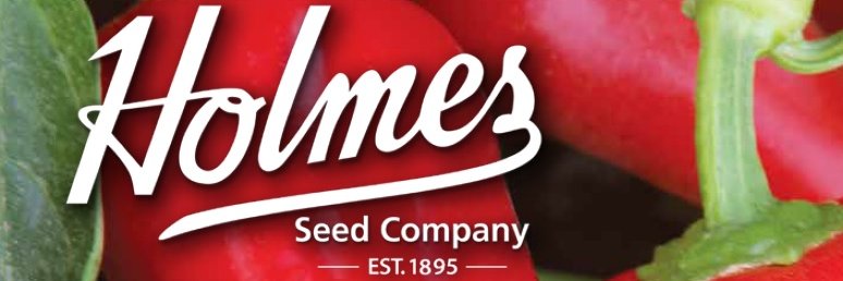 HolmesSeed's profile banner image
