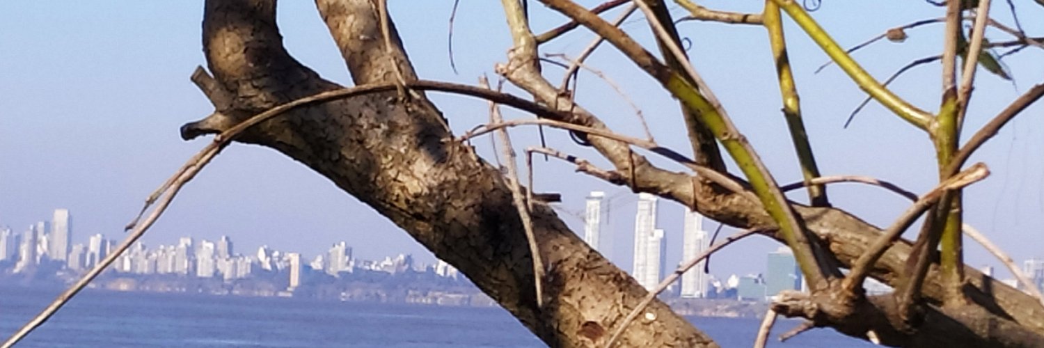 AleColman5's profile banner image