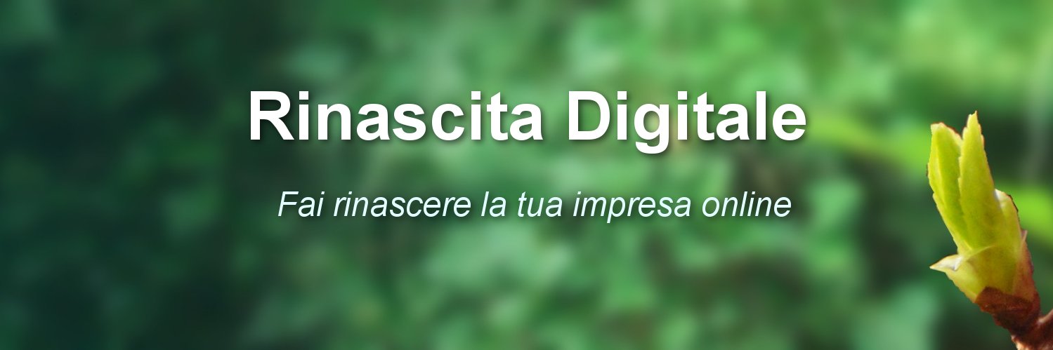 rinascitadigit's profile banner image