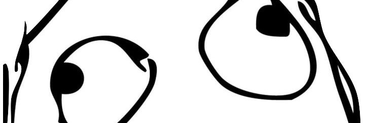 Nic Byron banner