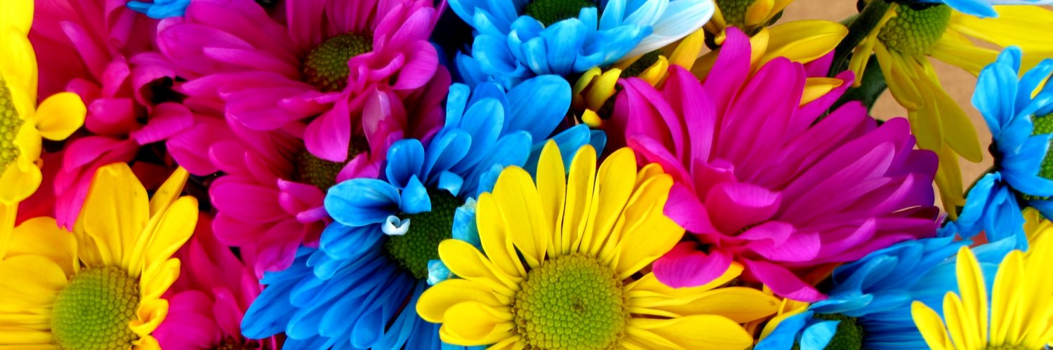 saraabdalla37's profile banner image