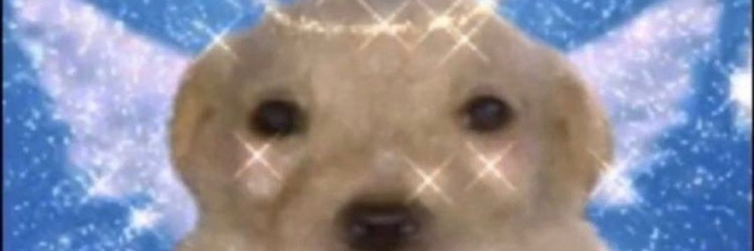 J0rt_99's profile banner image