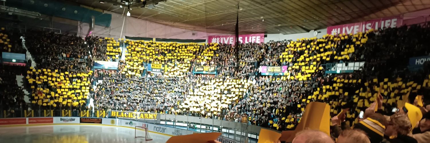 Hockeyhuliganen banner