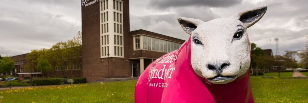 WrexhamSheep's profile banner image