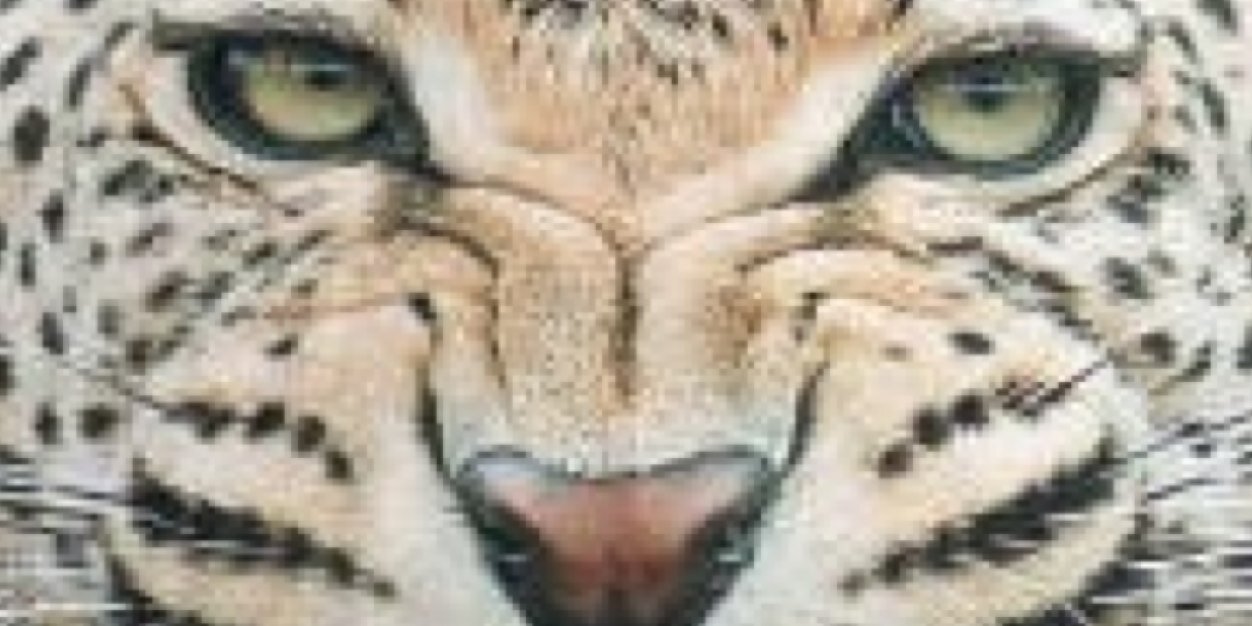 ms_chinasa's profile banner image