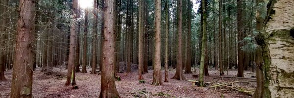 Stu_Flinter Profile Banner