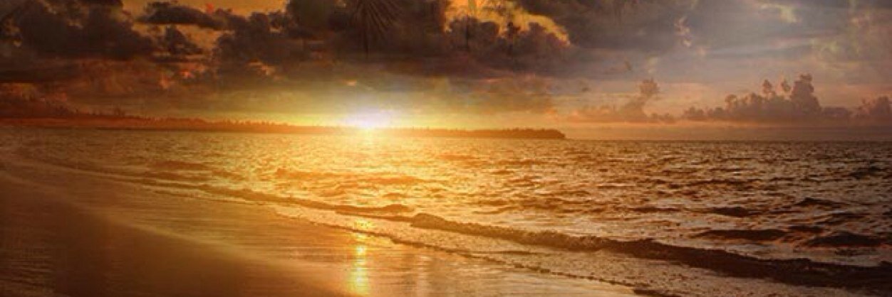 chixbits's profile banner image