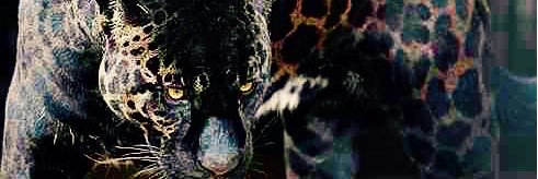Kevincurc's profile banner image