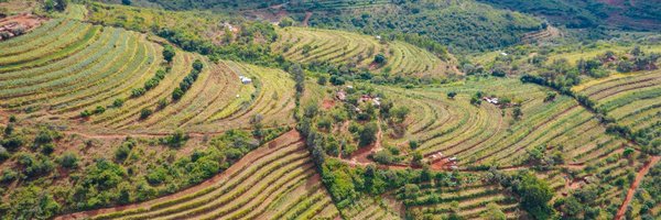 restoreforward Profile Banner