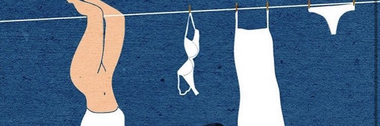 cedarpocket's profile banner image