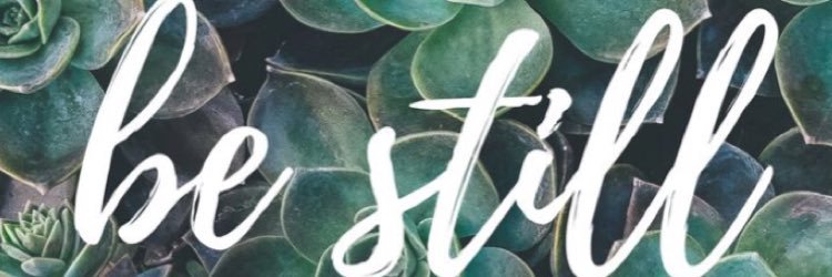 drea_maag's profile banner image
