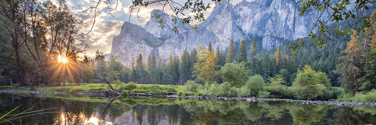 Herdabest's profile banner image