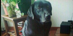 sofi_camargo's profile banner image
