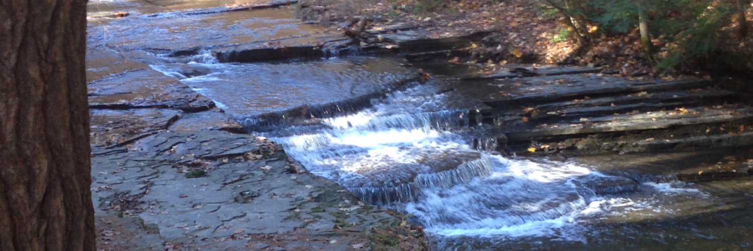 KevinWayne63's profile banner image