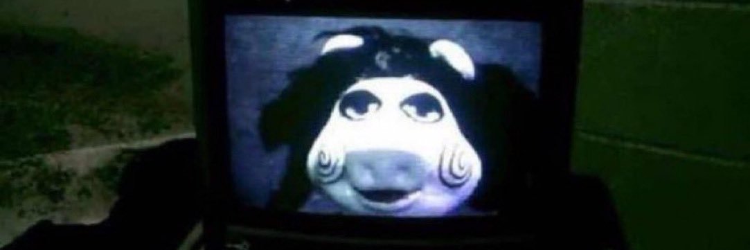 Borena Lobbitt banner