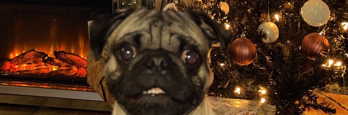 D_monseee's profile banner image