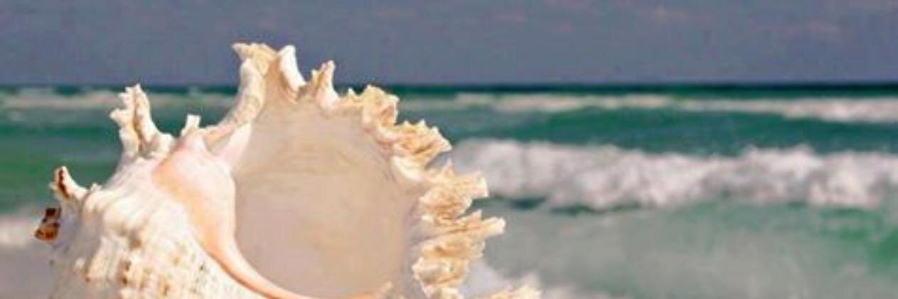 hsammy's profile banner image