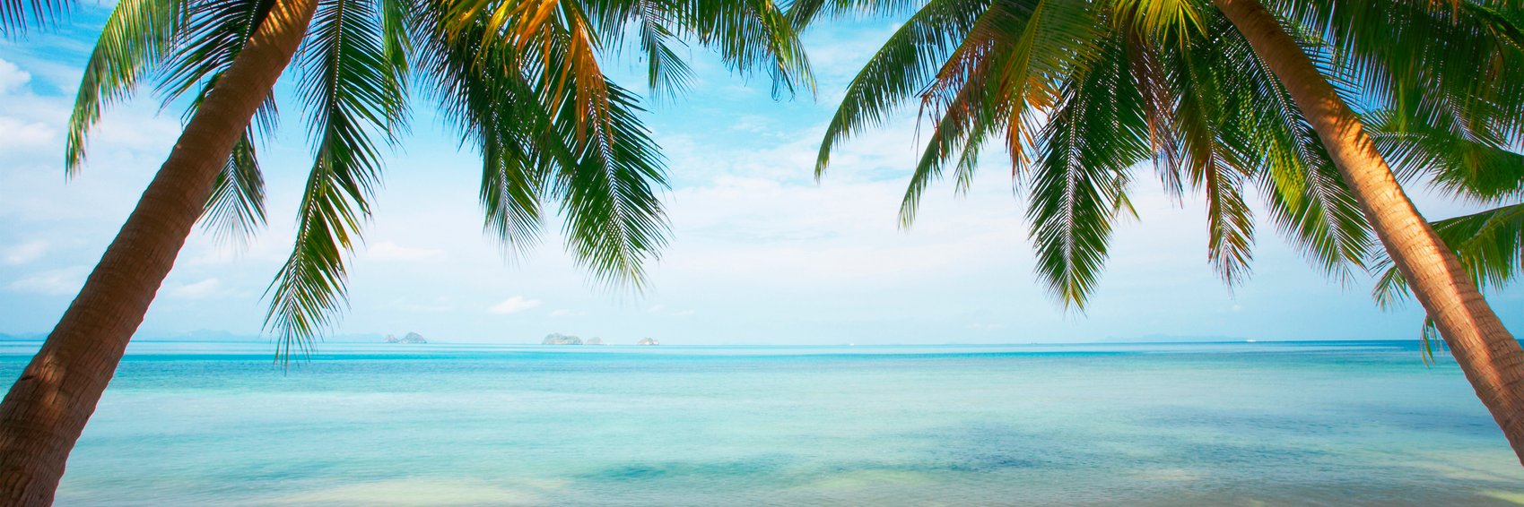 BeachOrganics's profile banner image