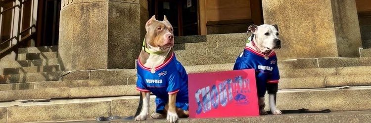 earlsinthetrunk's profile banner image
