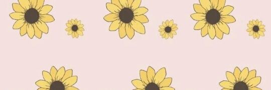 ASeghesso's profile banner image