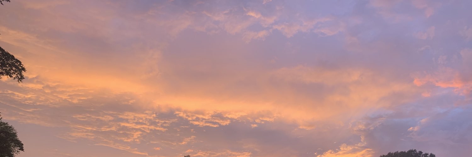 Hals_No's profile banner image