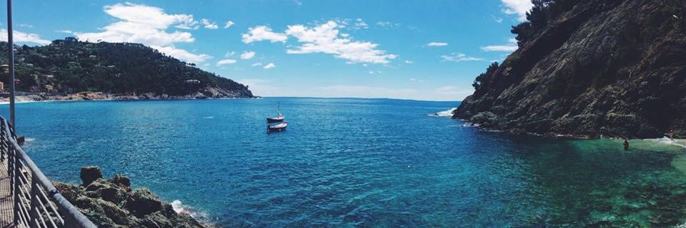 Maeve MacGlinchey banner