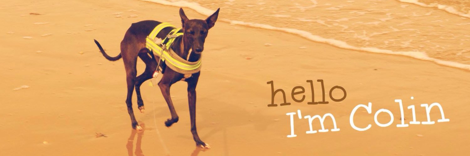 ColinDeDog's profile banner image