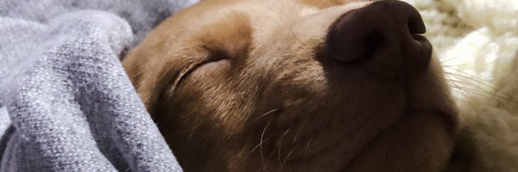 solzeraa's profile banner image