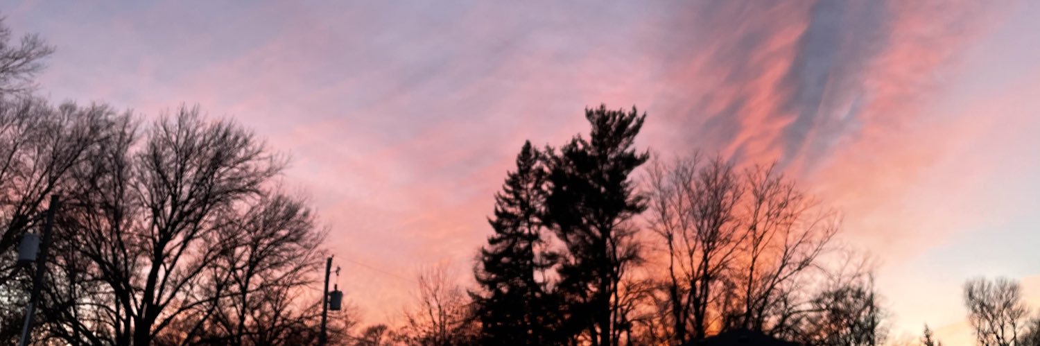 SusannParlor's profile banner image