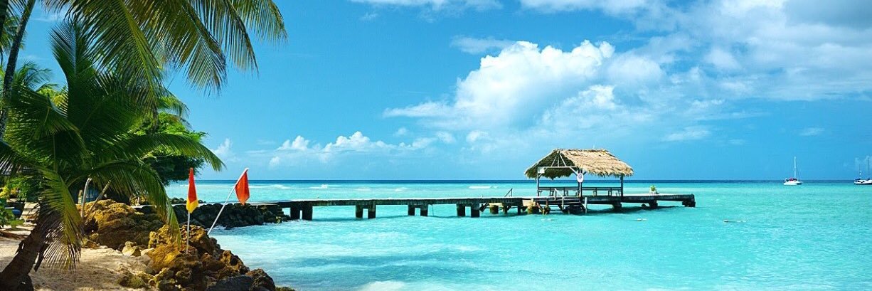 Robert Wickham banner