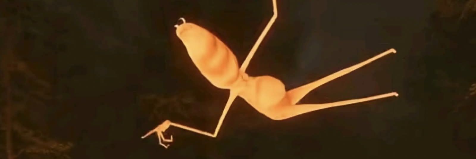 ⎛⎝🔥Vee🔥⎠⎞ banner