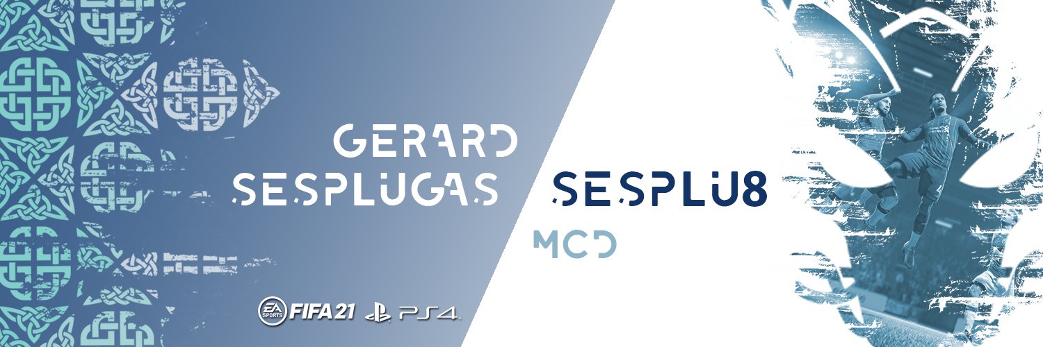 Sesplu banner