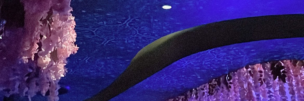 raulfknsm's profile banner image