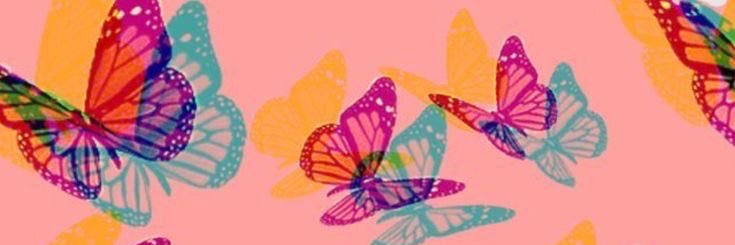 kailibrooke's profile banner image