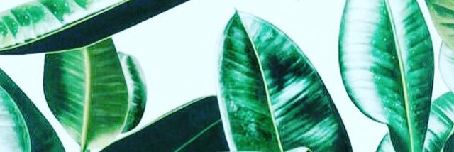 inthegloss's profile banner image