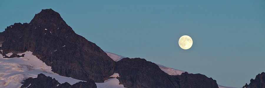 Phee_B_Lee's profile banner image