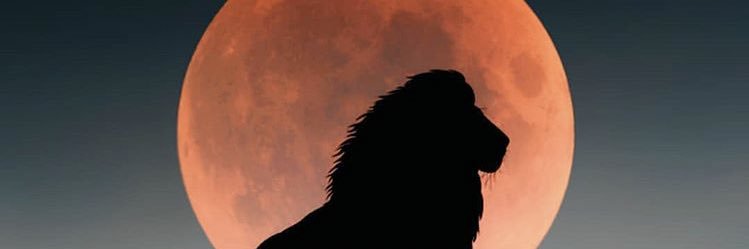 TMLR84's profile banner image