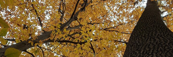 Annadodson98's profile banner image