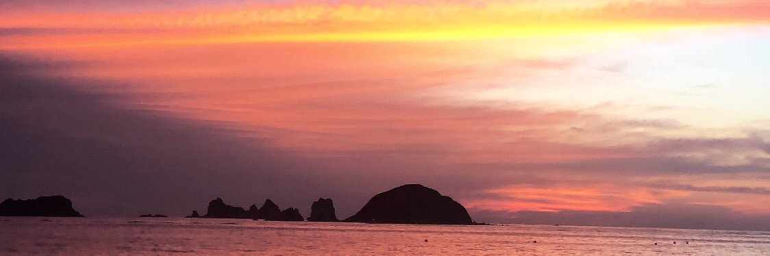 DanielCastilloG's profile banner image