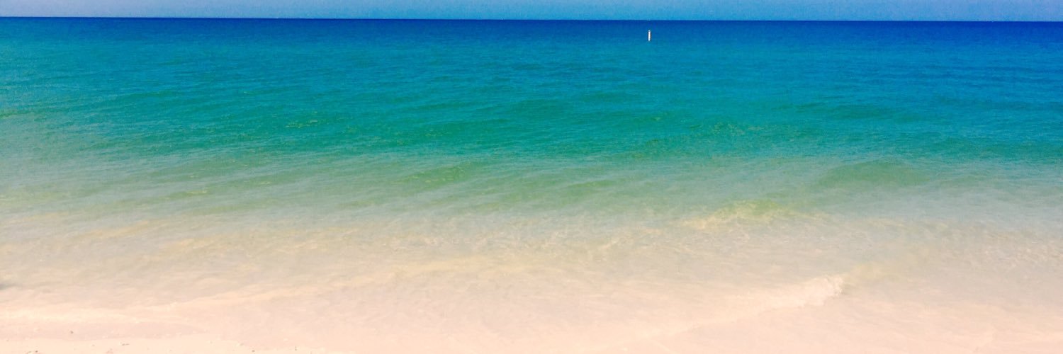 rachgoodreau's profile banner image