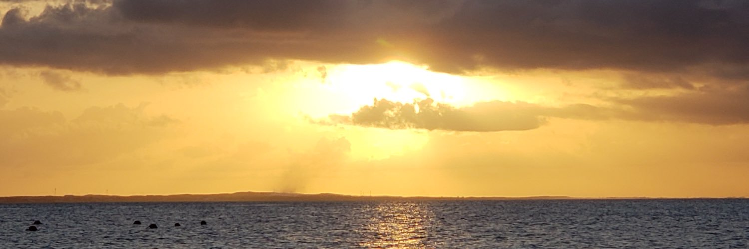 markj1224's profile banner image