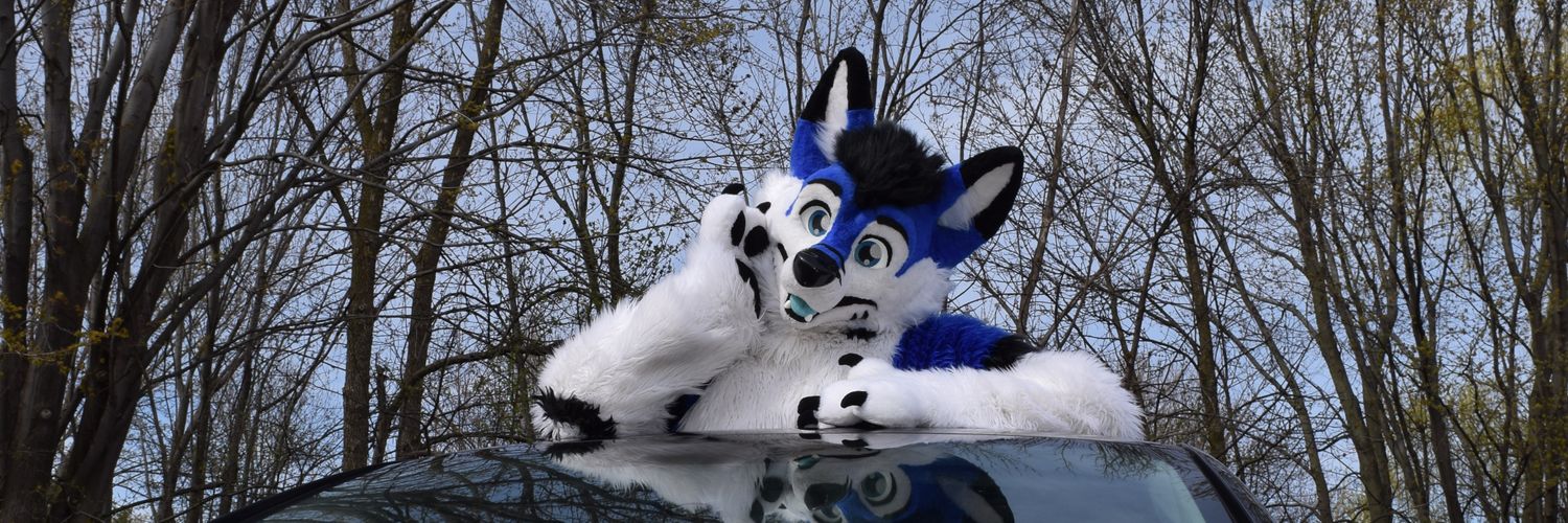 RayLight_Husky's profile banner image