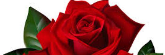 rosemf5's profile banner image