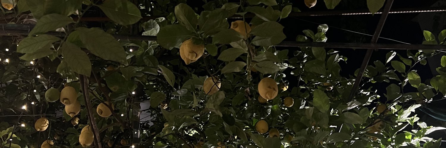 ArbieAlolod's profile banner image