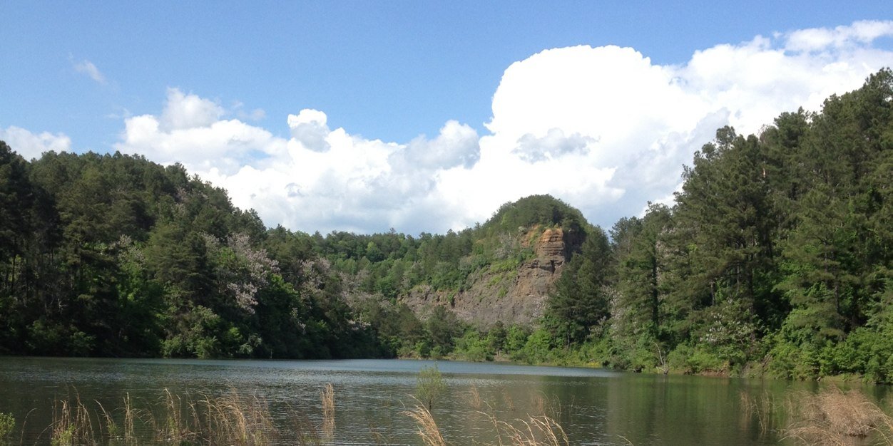 Heather Williams banner